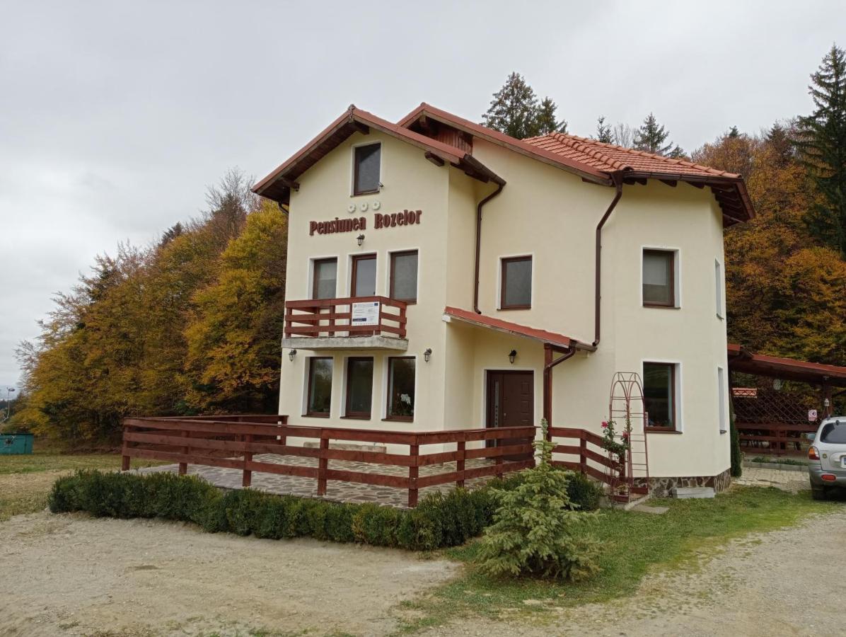 Pensiunea Rozelor Statiunea Climaterica Sambata Simbata de Sus Luaran gambar