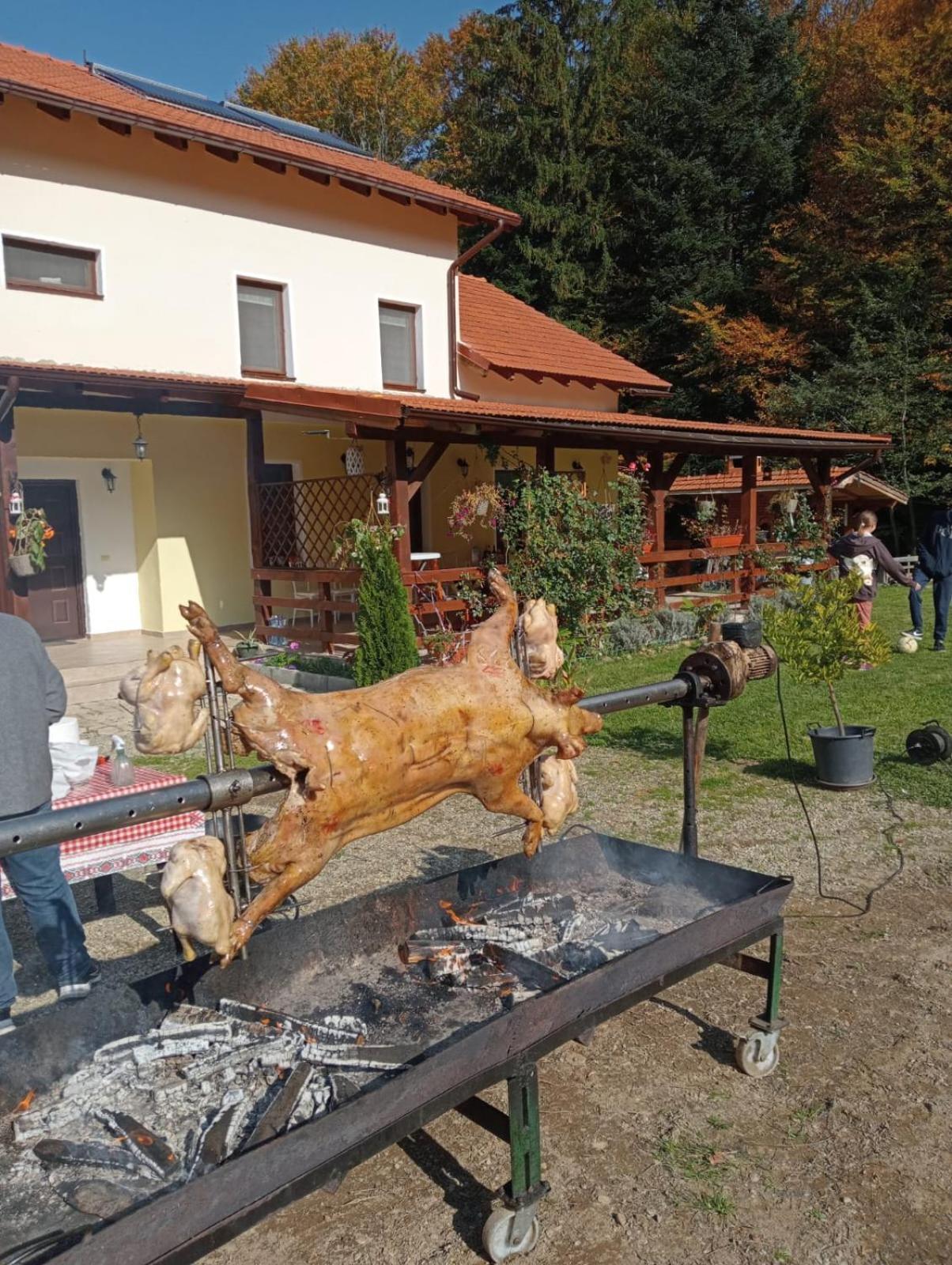 Pensiunea Rozelor Statiunea Climaterica Sambata Simbata de Sus Luaran gambar